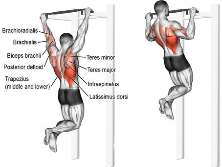 Pull-Up Power: Mastering Your Upper Body with Killer Workouts