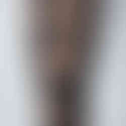 Lion Tattoo Meanings, Designs, and Ideas