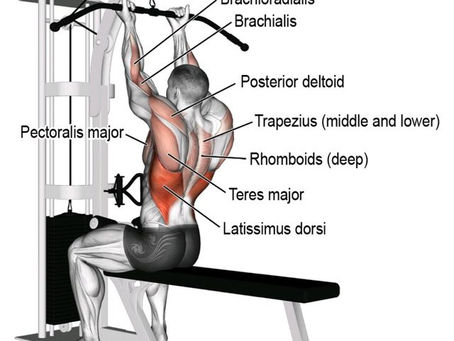 Lat Pulldowns