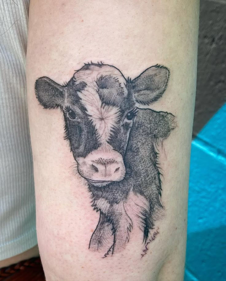 Cow Tattoos