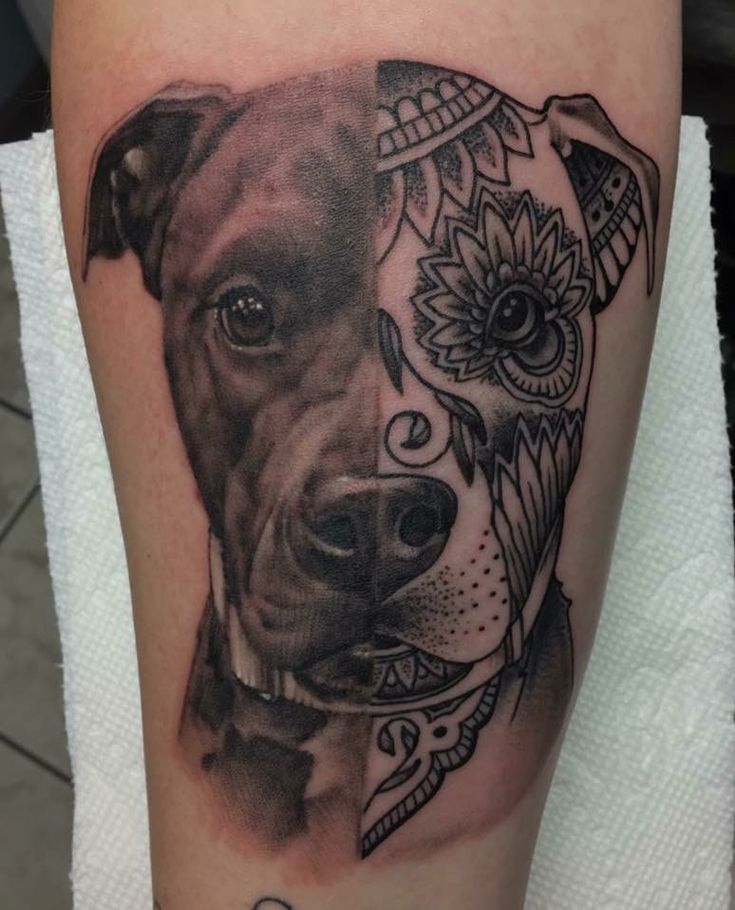 Pitbull Tattoos