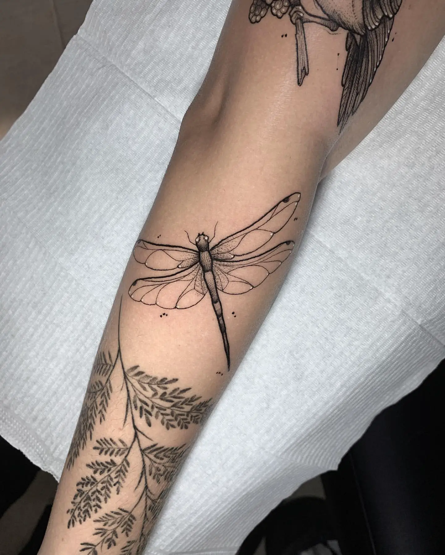 dragonfly tattoo