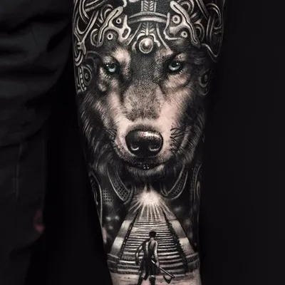 Fotos para Tatuagem de lobo