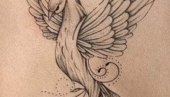 Phoenix Tattoos ideas