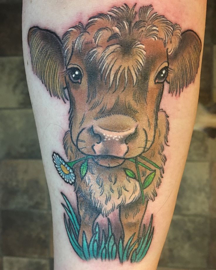 Cow Tattoos