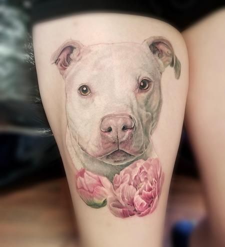 Pitbull Tattoos