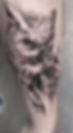 Owl Tattoo