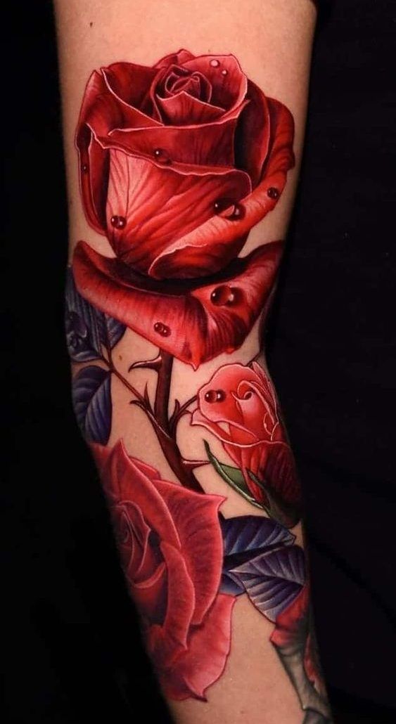  timeless rose tattoo on arm