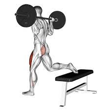Bulgarian Split Squats