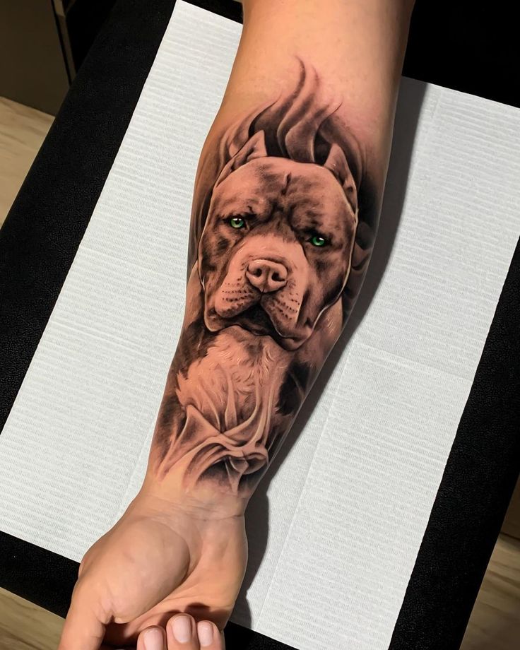 Pitbull Tattoos
