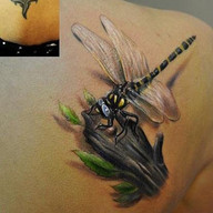 dragonfly tattoo