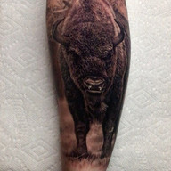 Bison Tattoo