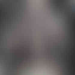 Lion Tattoo Meanings, Designs, and Ideas