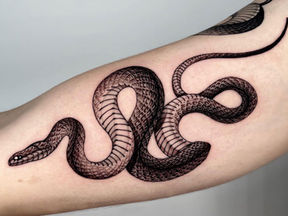 É Bom Tatuar Cobra?