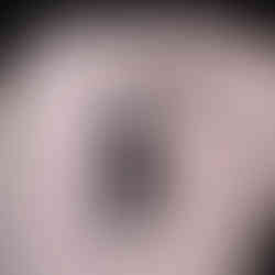 Black and Grey Tattoos