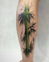 Bamboo Tattoo