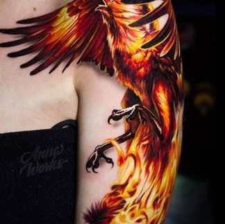 fenix tatuagem