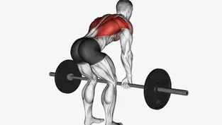 Barbell Row Guide: Build Max Strength & Back Thickness