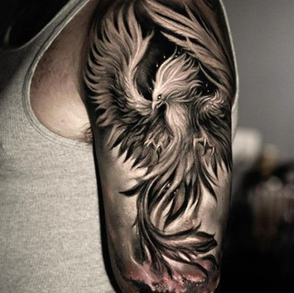 fenix tatuagem