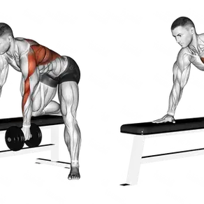 Single-Arm Dumbbell Row