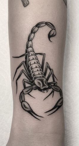 Popular Scorpion Tattoo Styles
