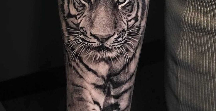 Tiger Tattoo