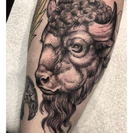 Bison Tattoo
