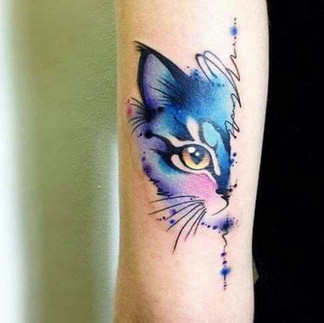 Cat Tattoos