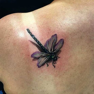 dragonfly tattoo