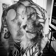 Lion Tattoo Meanings, Designs, and Ideas