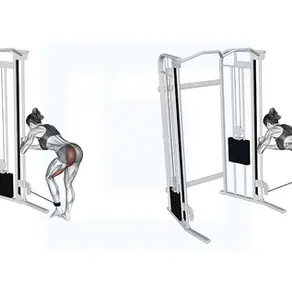 What Muscles Do Cable Kickbacks Really Work for the 40+ Enthusiast?