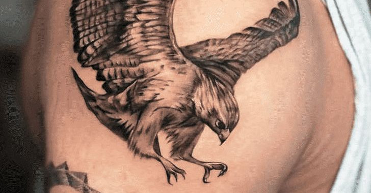 Hawk Tattoos