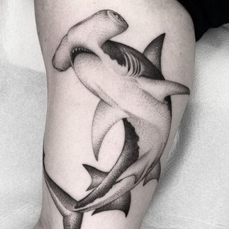 Tatuagem Tubarão