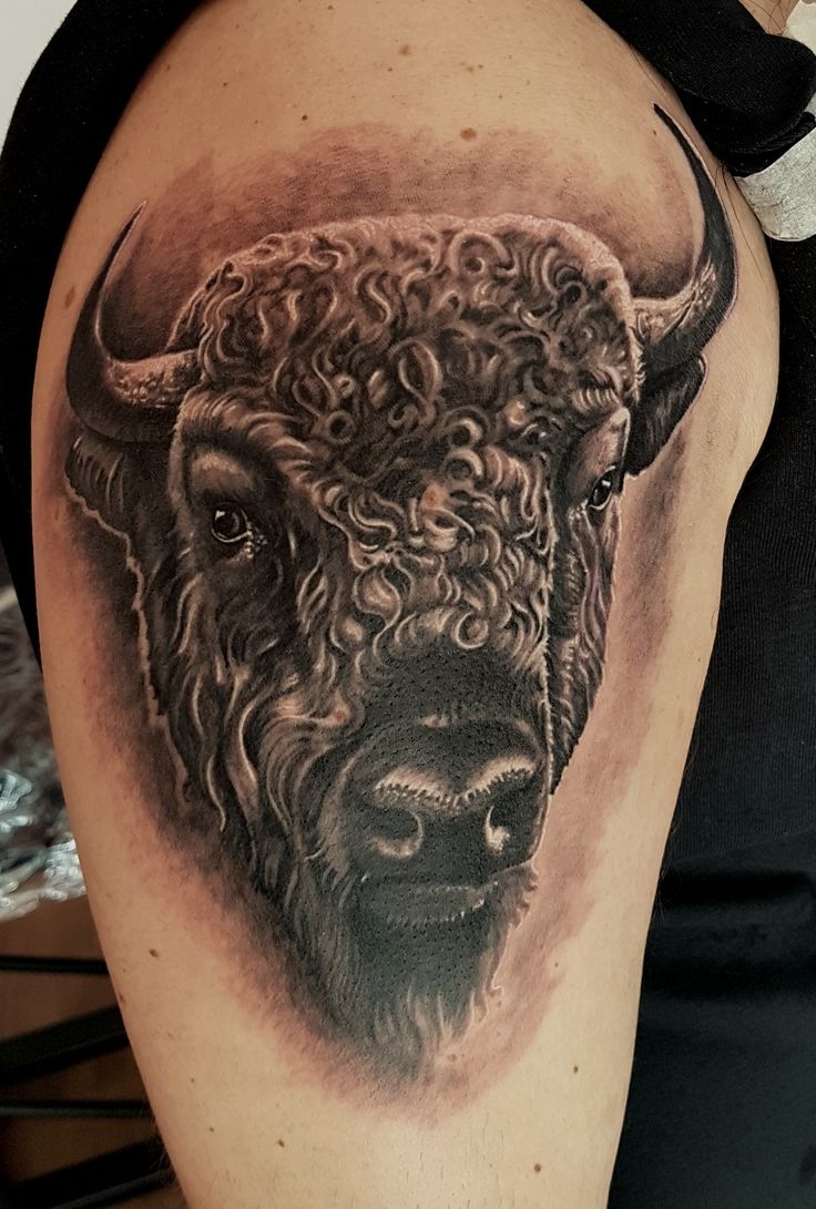 Bison Tattoo