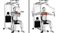 Pec Deck Fly: Sculpting a Powerful Chest