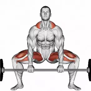 Sumo Deadlift: Your Ultimate Guide to Back Workout