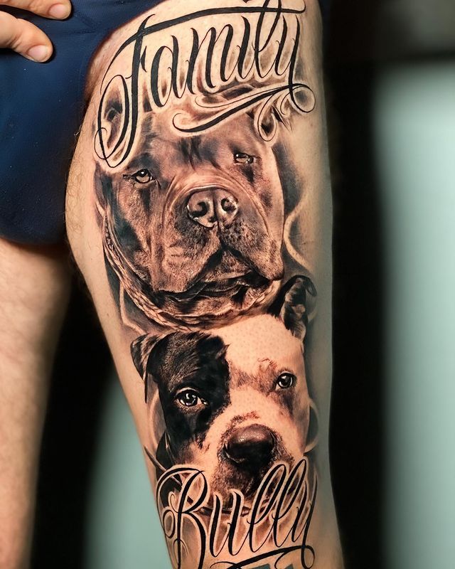 Pitbull Tattoos