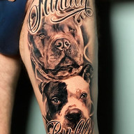 Pitbull Tattoos
