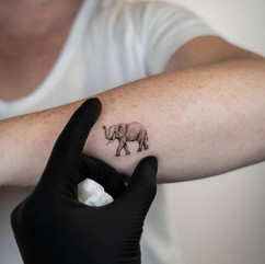 Elephant Tattoo