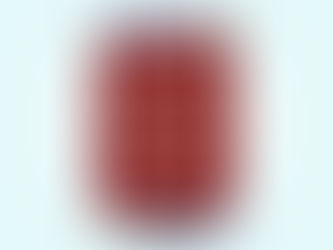 Passport Day Event Presented by the CT Passport Agency