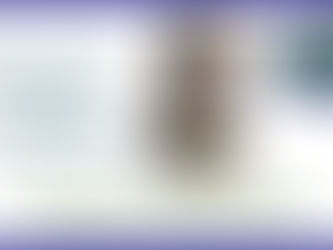 Become A Literacy Volunteer – LVBPT