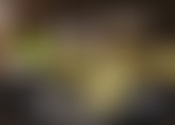 National Association of Hispanic Nurses Presents Their Annual Tequila Tasting Fundraising Event