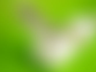 Exchange for a Change: Walmart and United Illumating Are Offering Free Energy Star® LED Bulbs