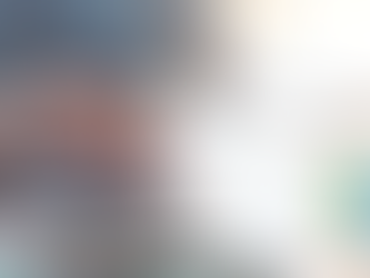 UI Covid-19 Payment Plans