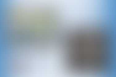 “Absorption and Reflection” Exhibit