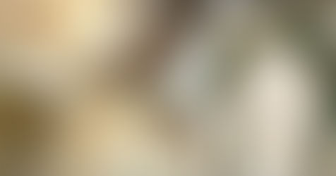 In Memory of Gloria Maria Diaz-Arroyo, 1929 – 2016