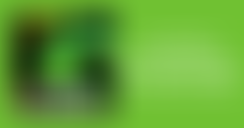 Glow Wild Lantern Festival At Beardsley Zoo