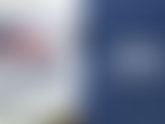 Immigrants and the 2020 Election