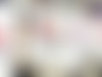 Spanish Voter Fact Sheet