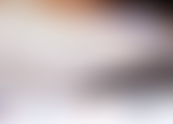 Seminario Web Sobre la Aplicación de Perdón del Programa de Protección de Cheque de Pago (PPP)